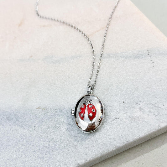 Ladybug Locket Necklace in Gold or Silver – Luck & Protection Jewelry – Red Enamel Ladybird Pendant – Gift for Her – Nature Lover Charm