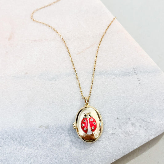 Ladybug Locket Necklace in Gold or Silver – Luck & Protection Jewelry – Red Enamel Ladybird Pendant – Gift for Her – Nature Lover Charm