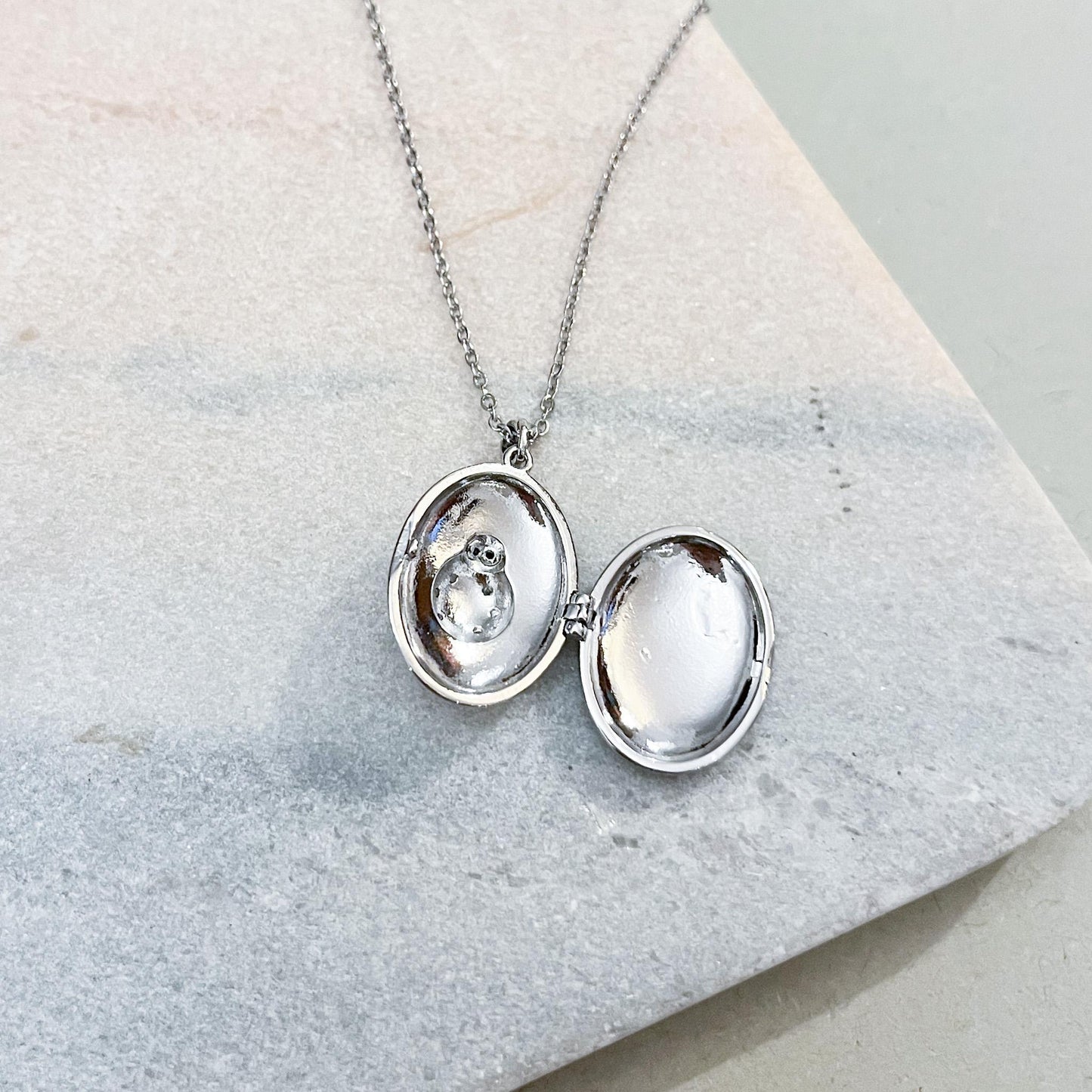 Ladybug Locket Necklace in Gold or Silver – Luck & Protection Jewelry – Red Enamel Ladybird Pendant – Gift for Her – Nature Lover Charm